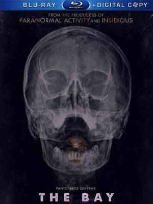 Бухта (2012