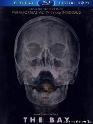 Залив / Бухта (2012)
